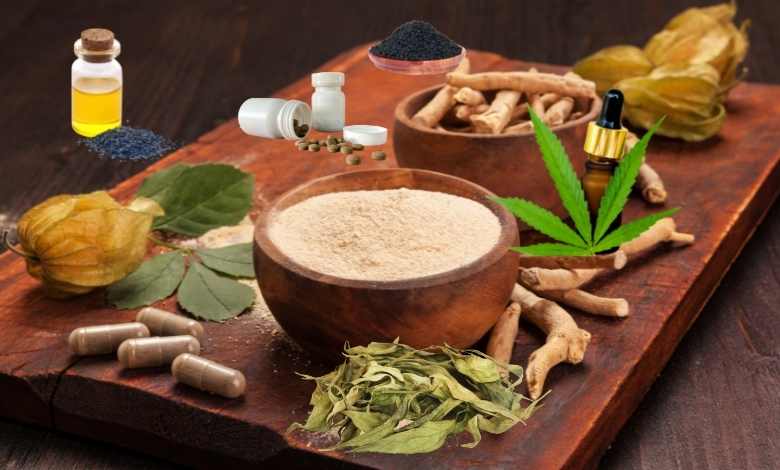 Ayurveda and How It’s Changed Our Lives